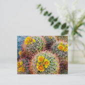 樽型サボテン、カリフォルニア州 ポストカード (スタンド正面)