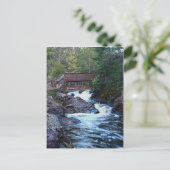 橋から流れる ポストカード (スタンド正面)