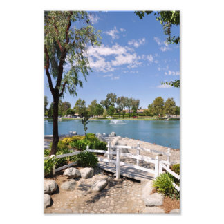 橋と池 フォトプリント           