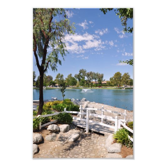 橋と池 フォトプリント            (正面)