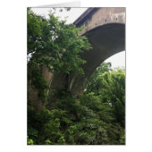 橋の下で (正面)