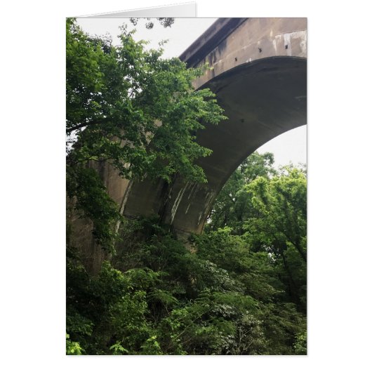橋の下で (正面)