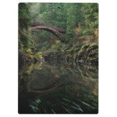 橋の下 クリップボード (裏面)