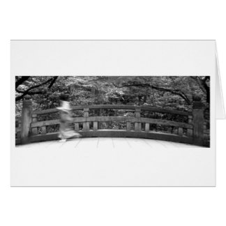 橋手。東京， 2011