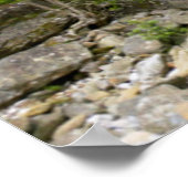 橋渡しストリームTsitsikamma国立公園 ポスター (角)