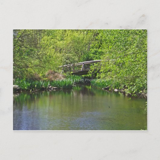 橋 ポストカード (正面)