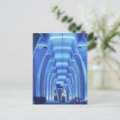 橋、照明下、マイアミ港。 ポストカード (スタンド正面)