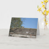 橋Llangollen運河Notecardに見ている牛 カード (黄色い花)