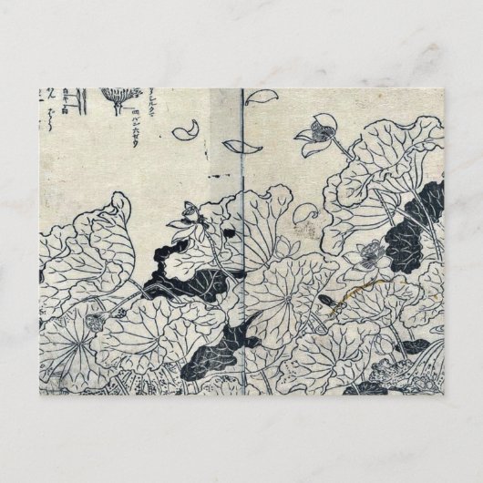 橘泰国の風に蓮 ポストカード (正面)