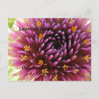 、機会いつか聞くために…学んで下さい ポストカード