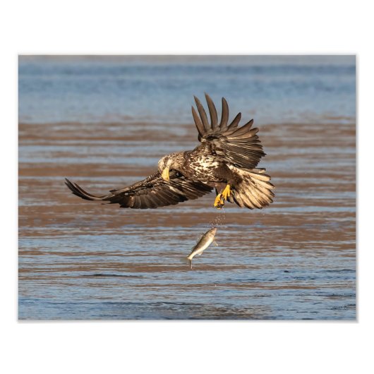 機会恋しく思 フォトプリント            (正面)