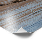 機会恋しく思 フォトプリント            (角)