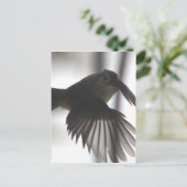 機内で ポストカード (スタンド正面)