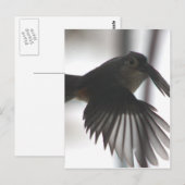 機内で ポストカード (正面/裏面)