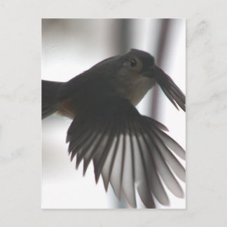 機内で ポストカード