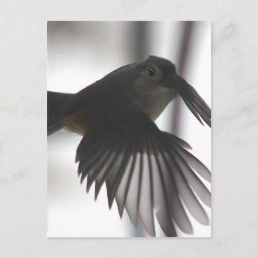 機内で ポストカード (正面)