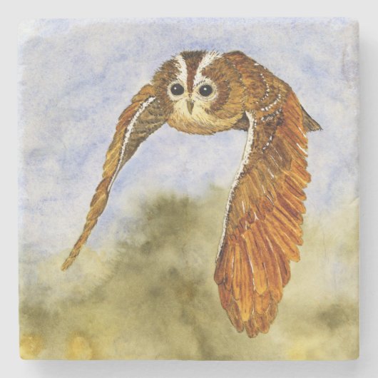 機内に浮かぶオウム ストーンコースター (正面)