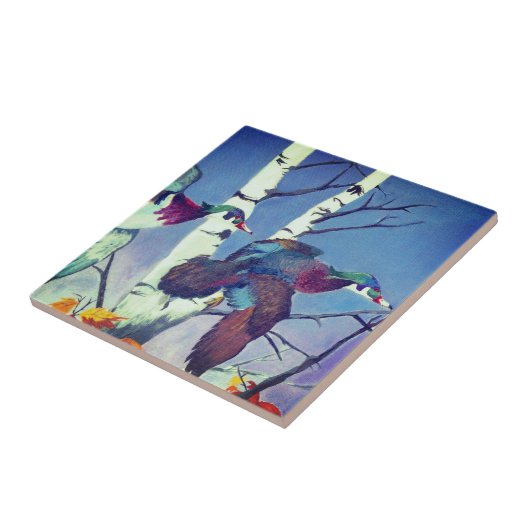 機内のアヒル タイル (側面)