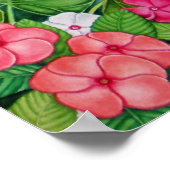 機内マコー ポスター (角)