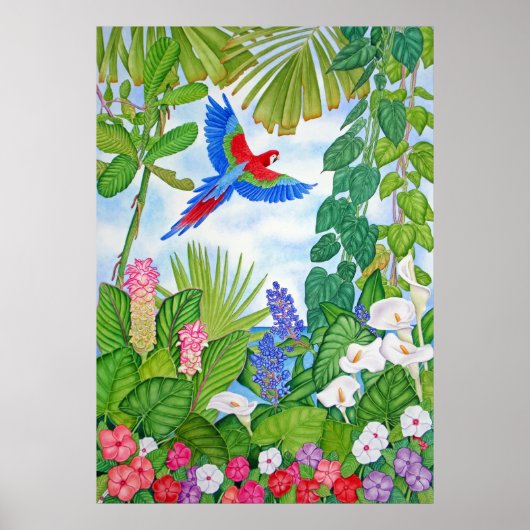 機内マコー ポスター (正面)