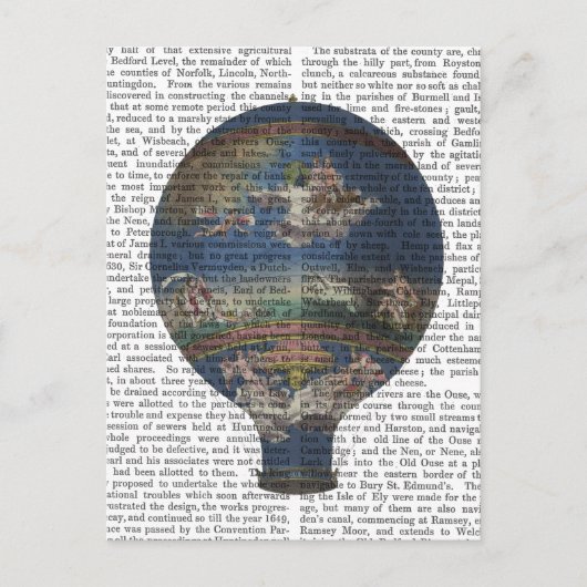 機械空気調和熱気球 ポストカード (正面)