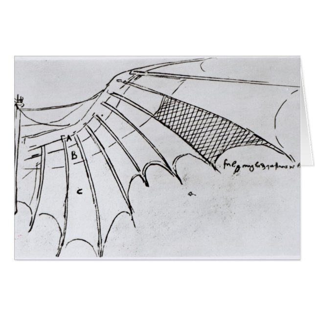 機械翼の詳細 (正面横)