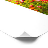 機械馬 フォトプリント            (角)