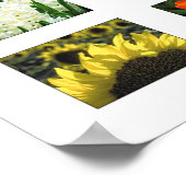 機能の色 ポスター (角)