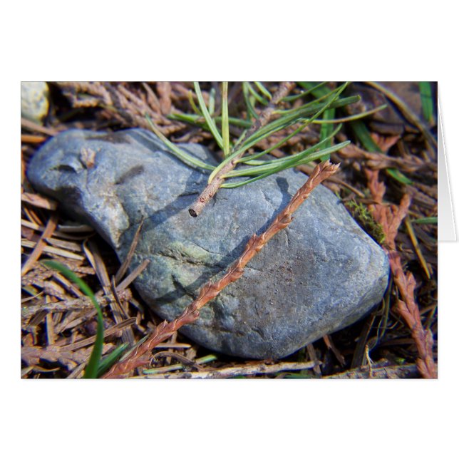 機能の要素 (正面横)