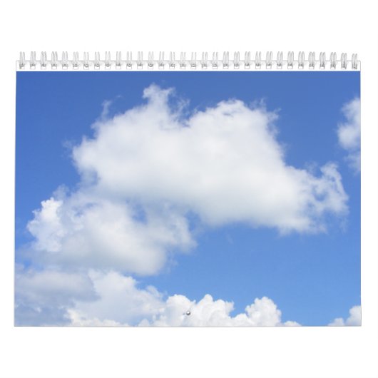 機能カレンダー カレンダー (カバー)