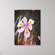 機能ギフト、引き伸ばしキャンバス印刷