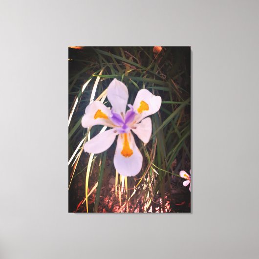 機能ギフト、引き伸ばしキャンバス印刷 キャンバスプリント (正面)