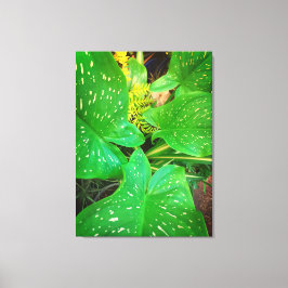 機能ギフト、引き伸ばしキャンバス印刷 キャンバスプリント