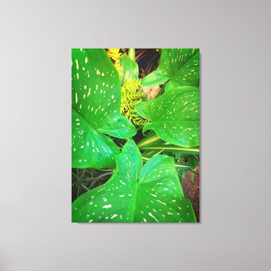 機能ギフト、引き伸ばしキャンバス印刷 キャンバスプリント (正面)