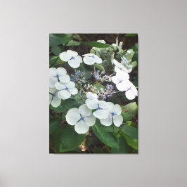 機能ギフト、引き伸ばしキャンバス印刷 キャンバスプリント