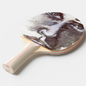 「機能」卓球ラケット 卓球ラケット (正面アングル)