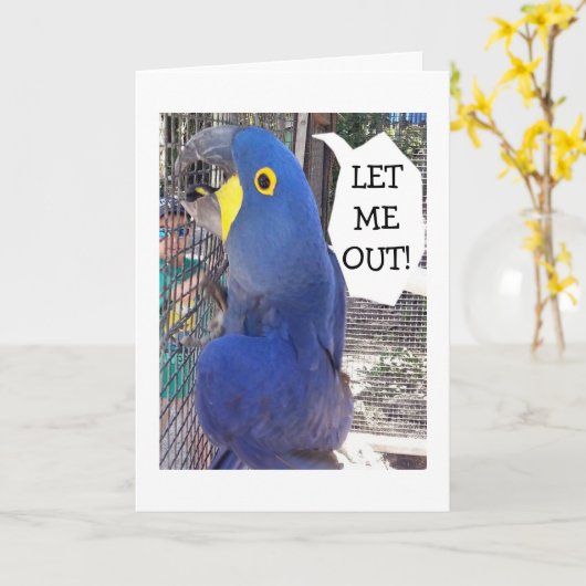 檻のオウムが、外に出せと言う誕生日 カード (黄色い花)