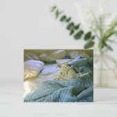 欠員はがき。 ポストカード (スタンド正面)