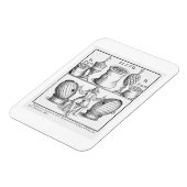 次のスケッチ日の確定宣言 マグネット (左側)