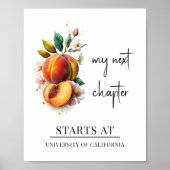 次のチャプターウォーターカラーピーチ卒業 ポスター (正面)