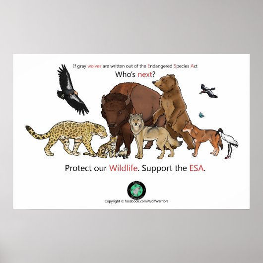 次のポスター ポスター (正面)