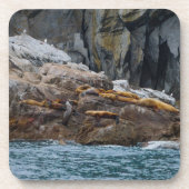 次の行 コースター (正面)