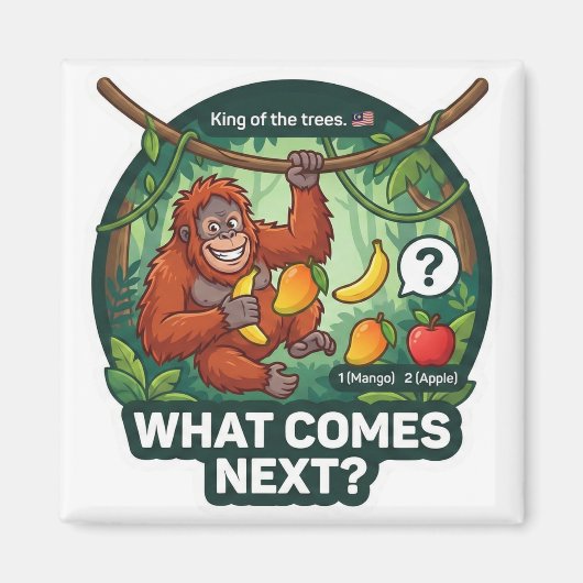 次は何?オランウータンパターンロジックゲーム マグネット (正面)