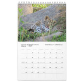 次世代アフリカの動物(ペ独身のージ) カレンダー (3月 2027)
