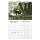 次世代アフリカの動物(ペ独身のージ) カレンダー (1月 2026)
