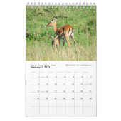 次世代アフリカの動物(ペ独身のージ) カレンダー (2月 2026)