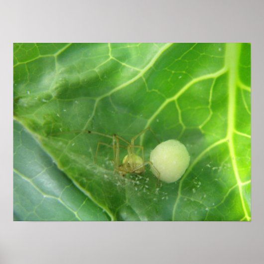 次世代プリント ポスター (正面)