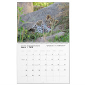 次世代(アフリカの動物) (2ページ) カレンダー (3月 2026)