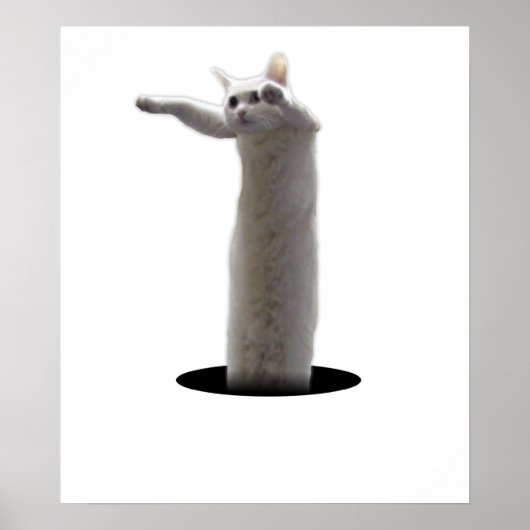 次元間LongCat ポスター (正面)