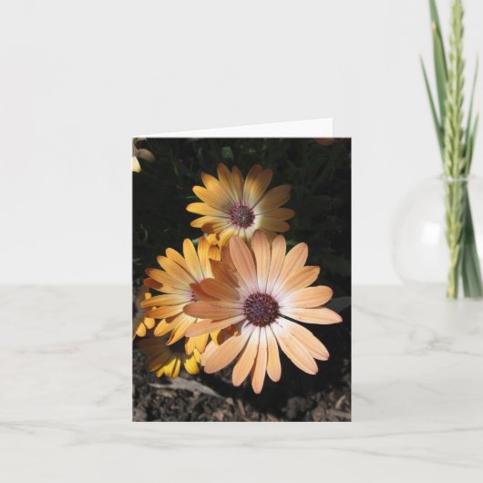 次淡い色のの カード (正面)